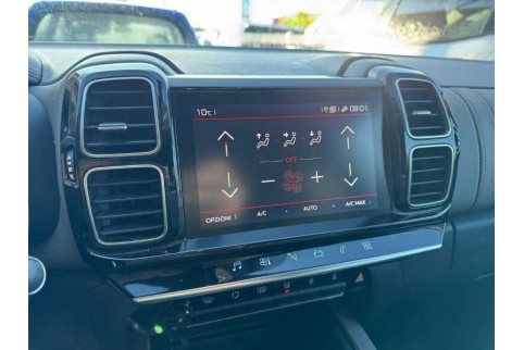 2019 Citroën C5 Aircross, Dyzelinas